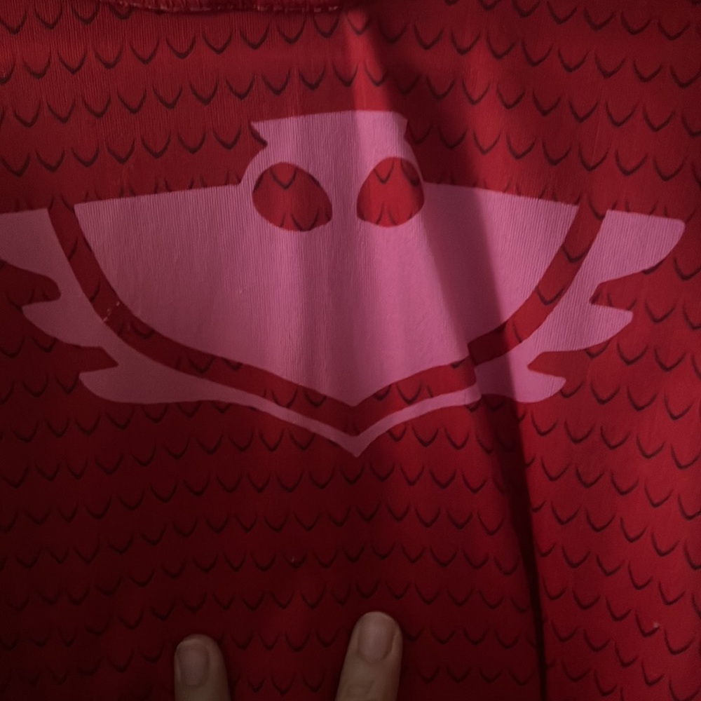 PJ mask owlette costume 2-4T